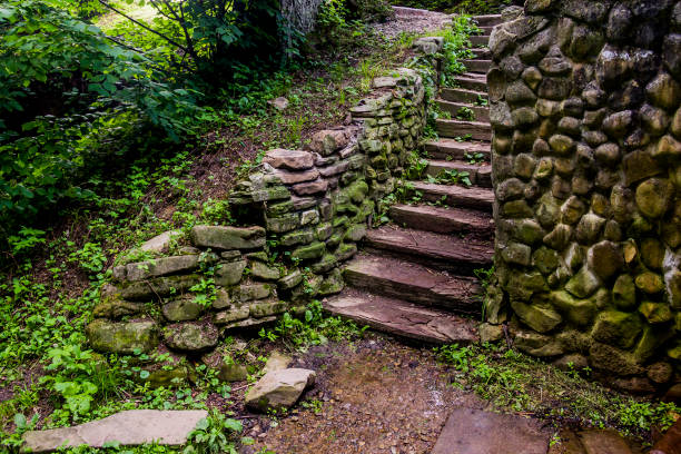 istock old stone ladders in the forest 1397772517