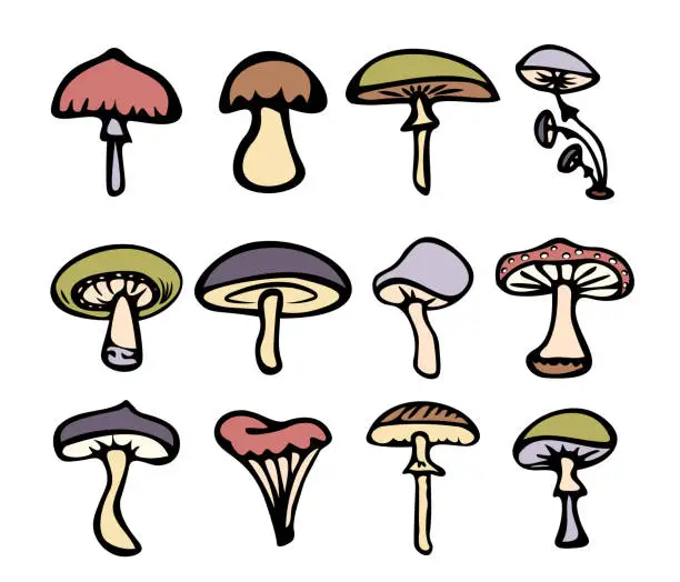 Vector illustration of Набор цветных грибов