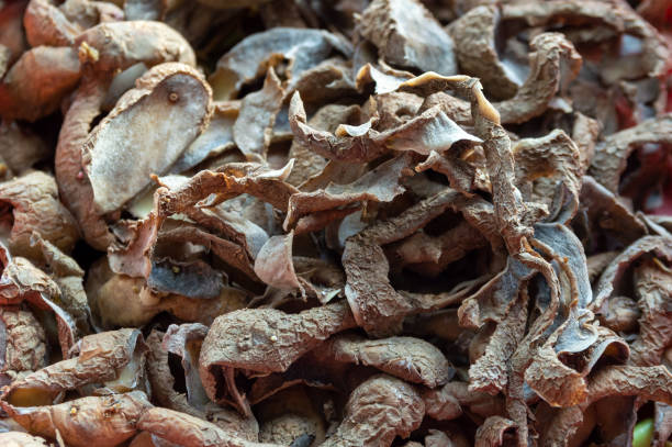 istock abstract background with potato peels 1397774112