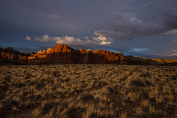 istock Golden Grass Lines a Thin Trail Across Mesa 1397774169