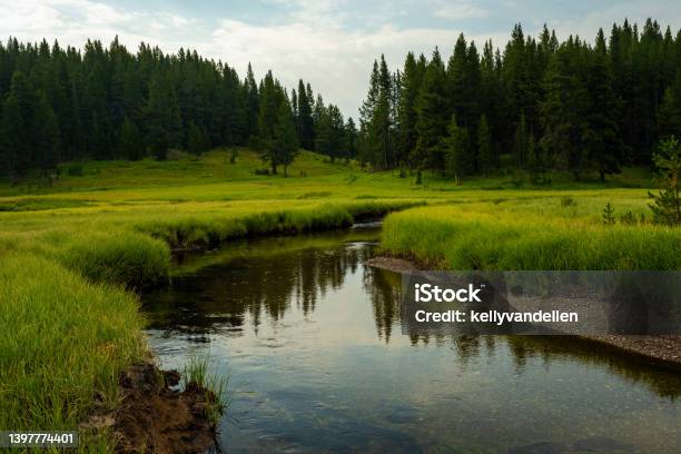 Lazy Creek Through Meadow Near Wrangler Lake Stock Photo - Download Image Now - Agricultural Field, Awe, Cloud - Sky