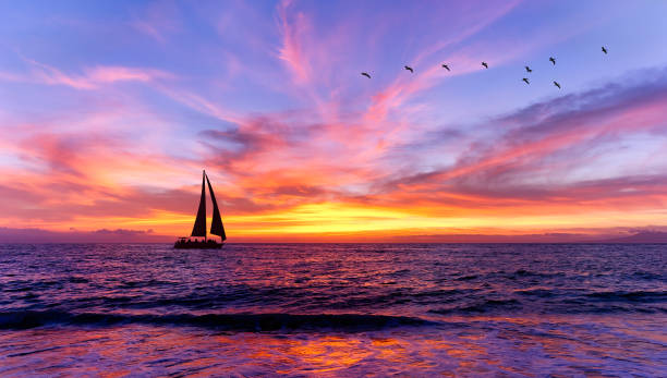 istock Sunset Sailboat Ocean Landscape Sailing Birds 1397780026
