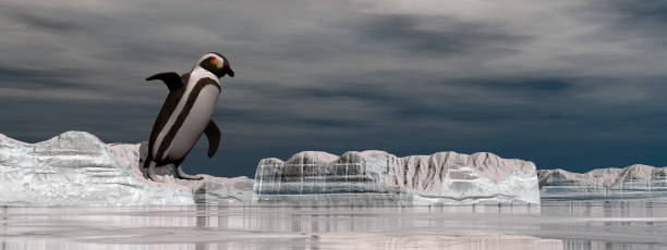 istock Penguin jumping into the water - 3D render 1397780151