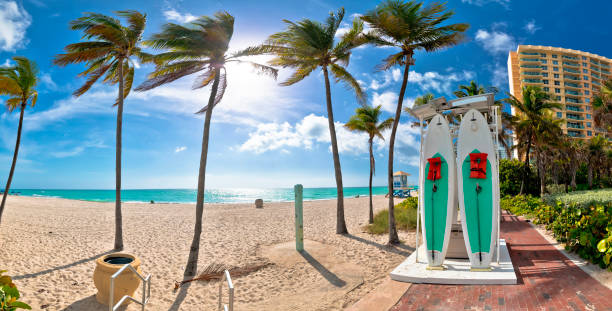 ターコイズブルーのサンドパームビーチとハリウッドのパノラマビューのウォーターフロント、 - fort lauderdale florida beach lifeguard ストックフォトと画像