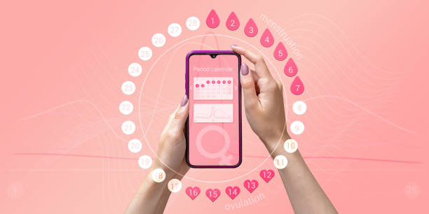 Menstrual cycle tracker mobile app on the smartphone screen in the hands of a woman. Modern technologies for tracking women's health, pregnancy planning Menstrual cycle tracker mobile app on smartphone screen in hands of woman, graphic representation of period calendar on pink background. Modern technologies for women's health, pregnancy planning tracker stock pictures, royalty-free photos & images