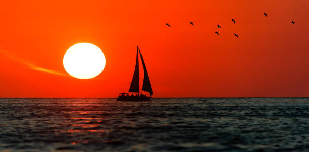istock Sunset Sailboat Ocean Landscape Sailing Birds 1397786918