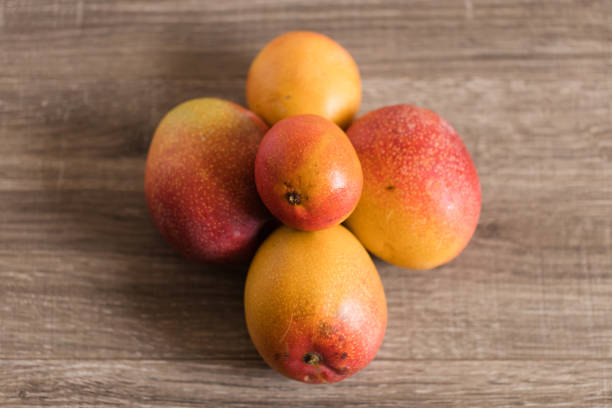 Colorful & Vibrant Red Homegrown Mangos From a Backyard Tree in South Florida in West Palm Beach, Florida.