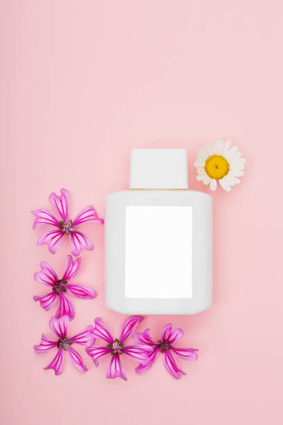 butelka produktu kosmetycznego do pielęgnacji twarzy lub ciała z pustą etykietą na różowym tle - chamomile chamomile plant shampoo aromatherapy oil zdjęcia i obrazy z banku zdjęć
