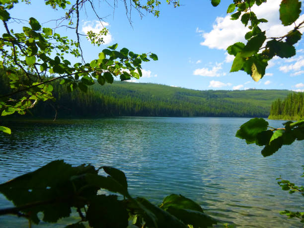 The Great Great Outdoors