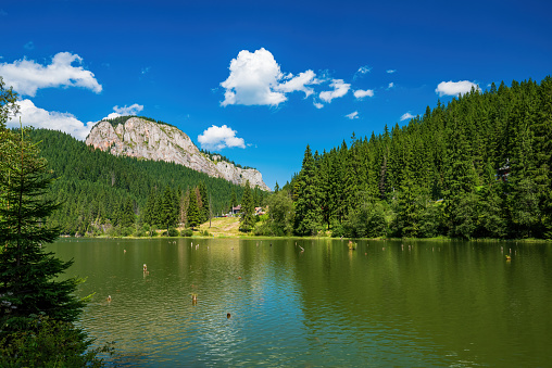 Summer scenery of mountain lake Lacul Rosu (Red Lake or Killer Lake). Popular travel destination and place for active rest and adventures in Eastern Carpathians. Harghita County, Romania