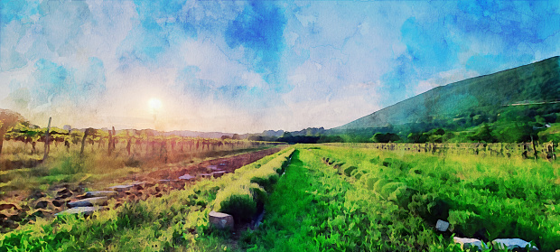 Watercolor effect of a panoramic view of idyllic landscape in the Soča Valley in Solkan during springtime, view of Italian hills in the background. Panoramic view of  vineyards ad lavander fields  near Solkan at sunset, Italian Collio and mount Sabotin in the background. Watercolor effect on a photography.