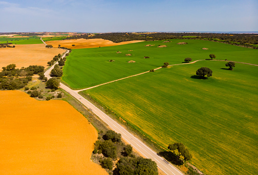 Aerial drone view. Castilla-La Mancha agricultural fields