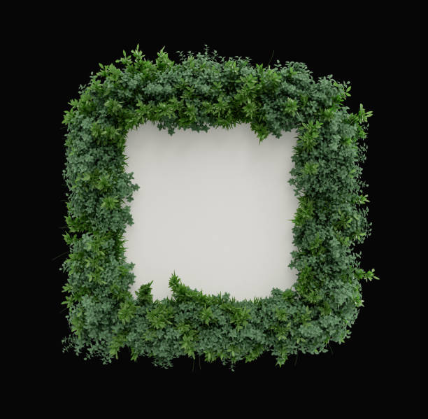 istock square Blank page covered with leaves, greeting and social media post card, 3d Rendering 1397800755