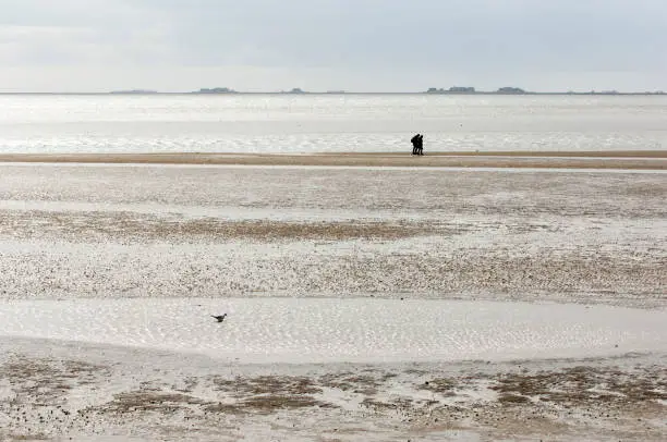 Mudflat hike of two unrecognizable people on the beach at the North Sea with the rising tide and the houses of the Halligen in the background