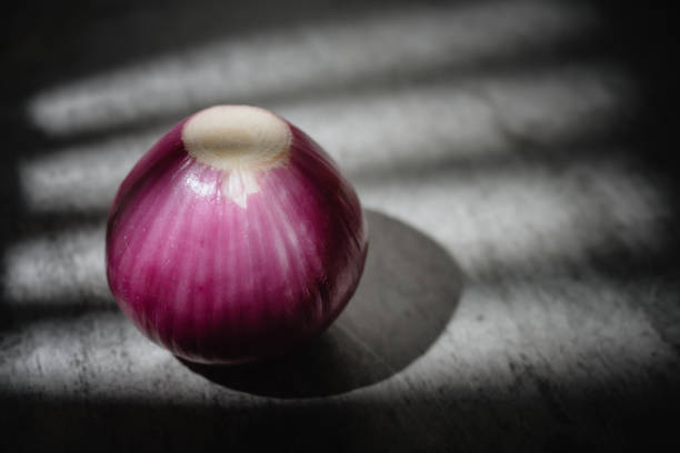 The sun shone on the onions