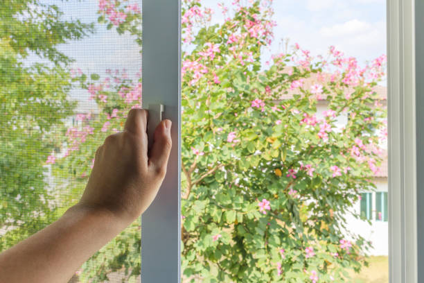 istock Hand hold mosquito net wire screen handle on house window 1397808609