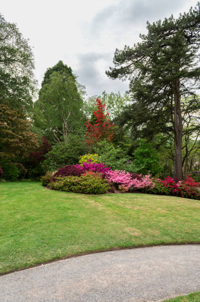 istock Beautiful Garden with blooming trees during spring time 1397809007