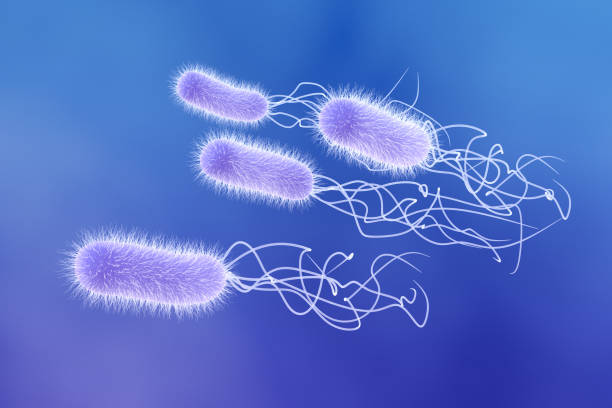 pseudomonas aeruginosa - anti bacteria zdjęcia i obrazy z banku zdjęć