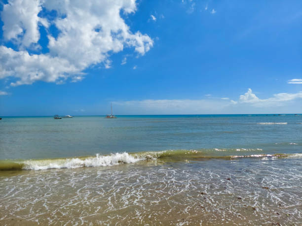 istock Coastal region known as Flexeiras. Brazilian coast. 1397818472