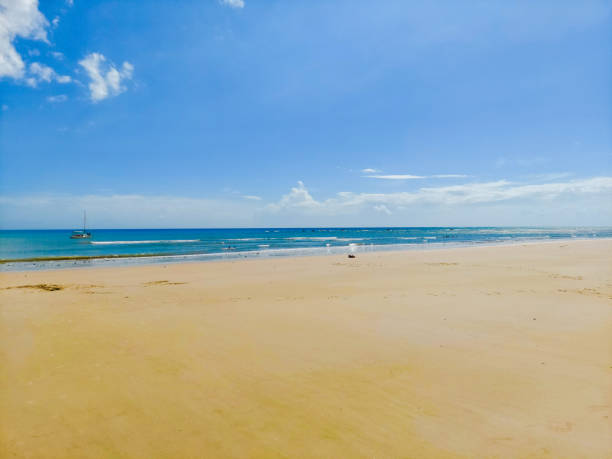 istock Coastal region known as Flexeiras. Brazilian coast. 1397818697