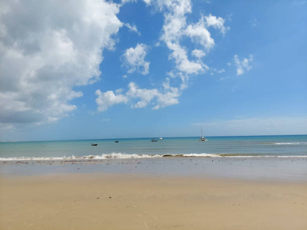 istock Coastal region known as Flexeiras. Brazilian coast. 1397819384