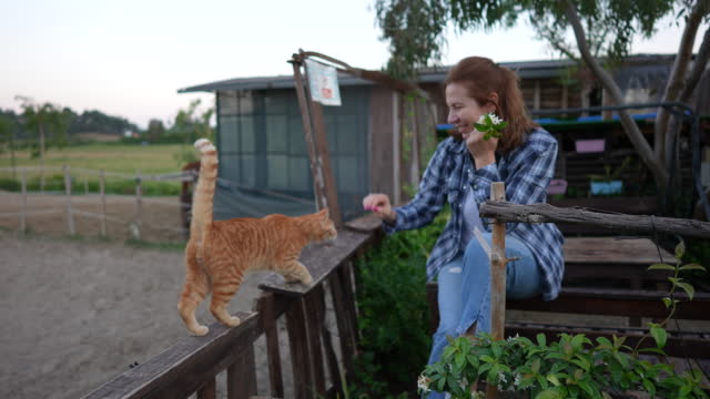 Woman petting her cat on a farm garden