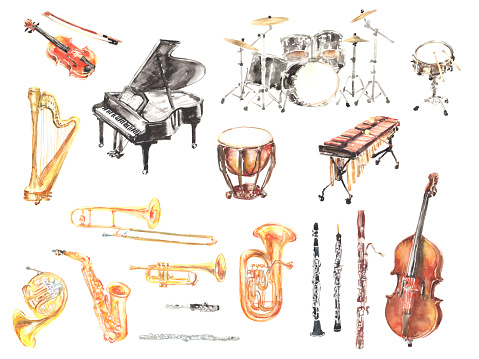 Illustration set of various musical instruments drawn in watercolor