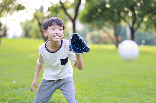 Children playing baseball on green grassy lawn