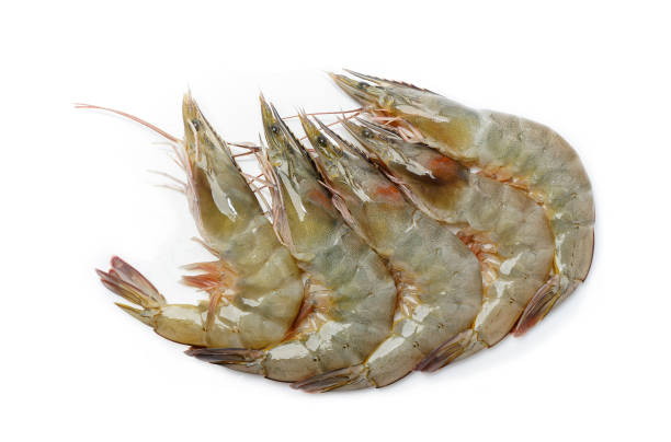 istock Fresh shrimp isolated on white background. 1397833627