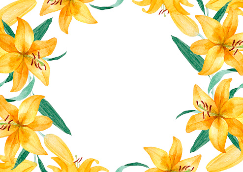 Watercolor Lily background frame