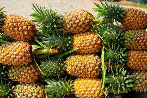 istock Pile of ripe pineapple with green leaf 1397835595
