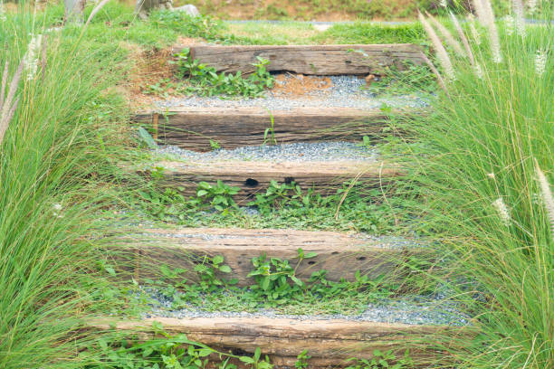Wooden steps buried in the ground go up to a higher place. stock photo