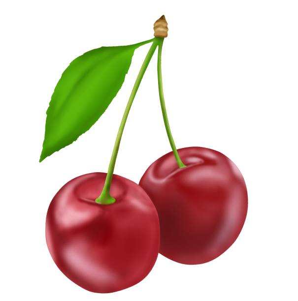 kreskówkowe dojrzałe wiśnie na białym tle. całe pyszne organiczne owoce. ilustracja wektorowa - sour cherry stock illustrations