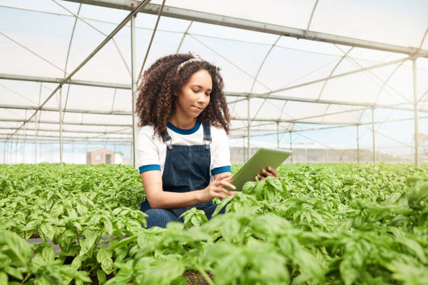 istock Shot of a young woman using a digital tablet while working on a farm 1397843541