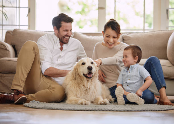 aufnahme einer jungen familie, die mit ihrem hund auf dem wohnzimmerboden sitzt - haustier stock-fotos und bilder