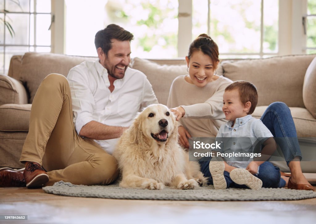 Shot of a young family sitting on the living room floor with their dog Sometimes I think our family tree doesn't branch quite enough Family Stock Photo