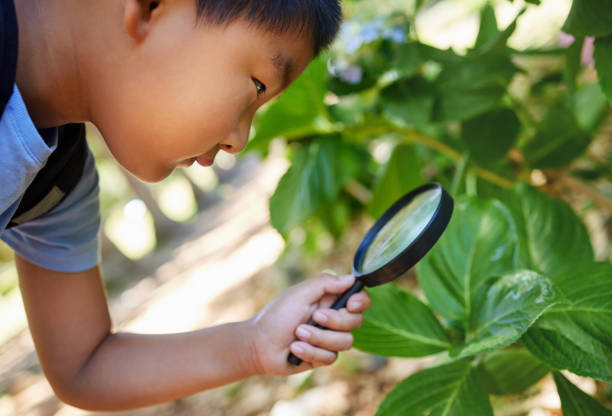 istock Shot of a young boy using a magnifying glass outside 1397843806