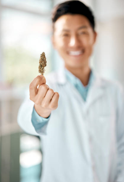 istock Shot of a scientist holding a marijuana bud in a lab 1397843901