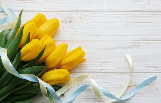 Delicate yellow tulips on white wooden background.  Top view,  space for text, border