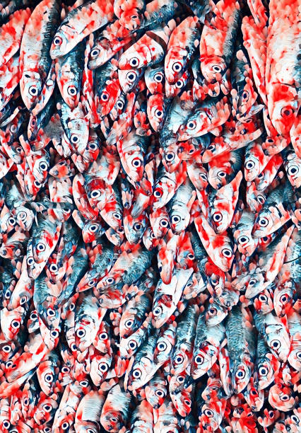 Fish Pattern