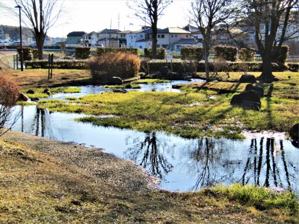 istock Sunny day in January. Japanese park with small water stream. 1397847204