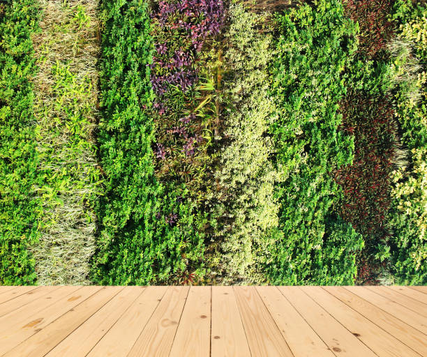 istock flower wall vertical garden and wood floor 1397848043