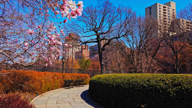 Central Park, Manhattan, New York, USA