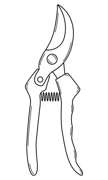 Vector illustration of Hand drawn pruner for pruning branches. Gardening tool. Doodle style. Sketch. Vector.