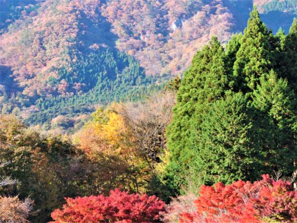 istock November. Autumn in Japanese mountains. 1397853684
