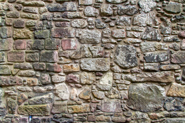 This image shows a beautiful old medieval European stone wall texture background showing colorful lichens and moss, with rugged appearance from age.