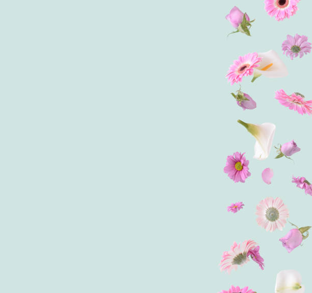 istock Flowers levitating on a pastel green background. 1397854603