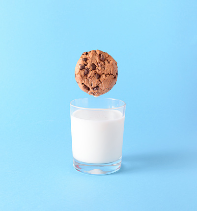 The chocolate chip cookie biscuit levitates in the air over a glass of milk on a blue background. Sweet food concept.