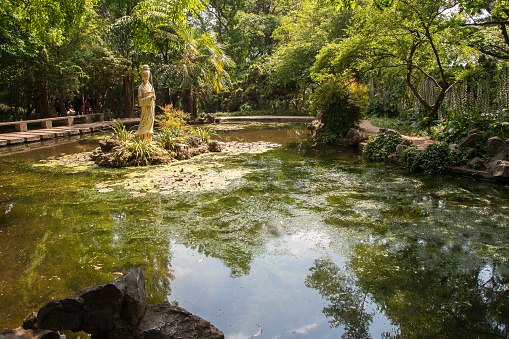 Guanyin Pond at The Golden Temple Park as known Jindian Park, is a Taoist bronze-tiled temple in the country located on the Mingfeng Mountains
