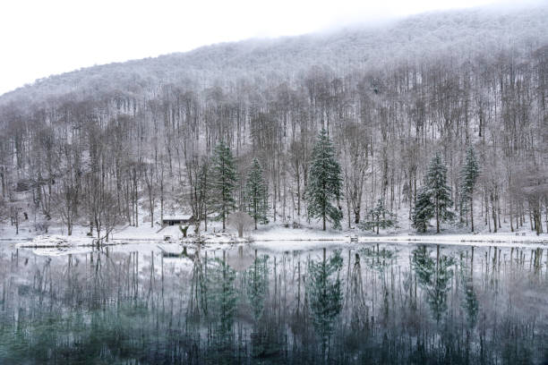 Jiuzhai Valley National Park, is a UNESCO world natural and cultural site. As the world's most beautiful national park, it features unique waterfalls, colorful lakes